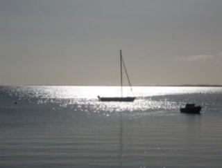  Renta de barcos en 33